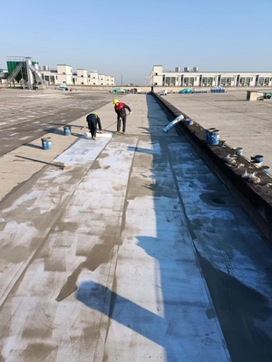 屋面整体防水修缮 